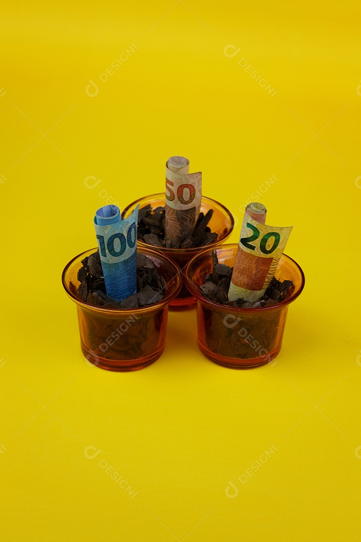Dinheiro brasileiro plantado em vaso ou vaso sobre fundo amarelo