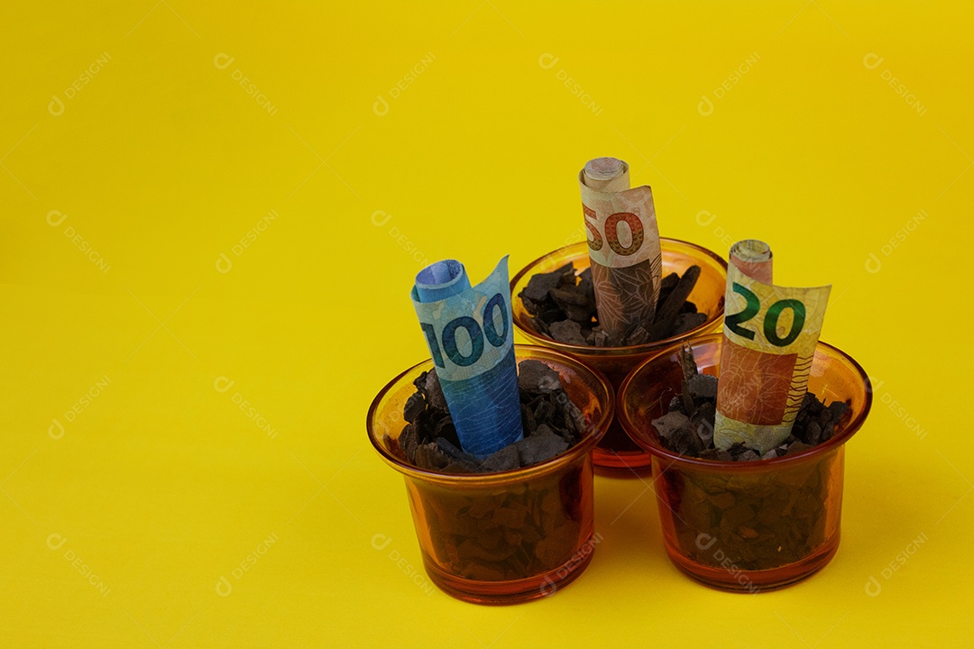 Dinheiro brasileiro plantado em vaso ou vaso sobre fundo amarelo