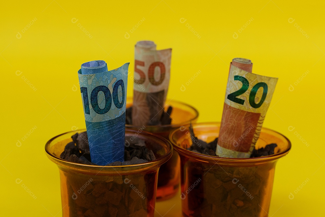 Dinheiro brasileiro plantado em vaso ou vaso sobre fundo amarelo