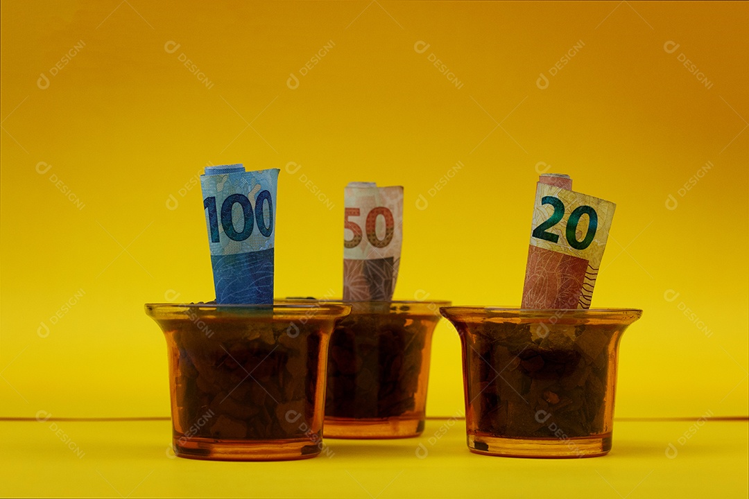 Dinheiro brasileiro plantado em vaso ou vaso sobre fundo amarelo