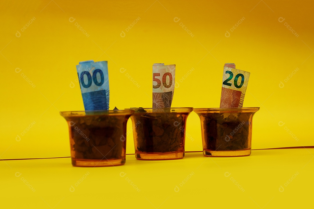 Dinheiro brasileiro plantado em vaso ou vaso sobre fundo amarelo