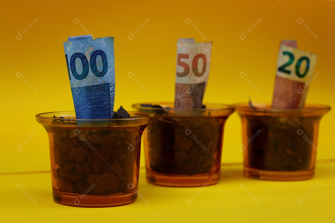 Dinheiro brasileiro plantado em vaso ou vaso sobre fundo amarelo