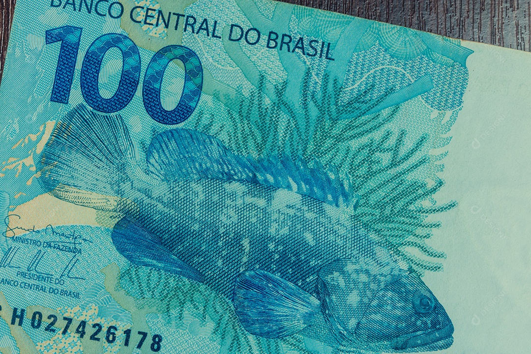 Uma nota de dinheiro apreensão da efígie da república com dinheiro brasileiro