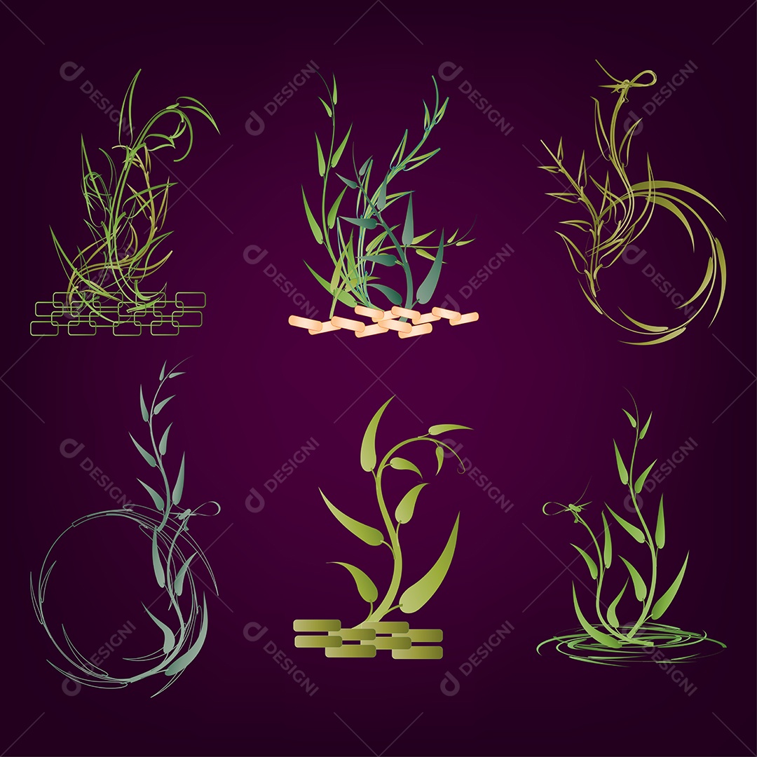 Conjunto de Botânica Planta de Casa Vetor EPS