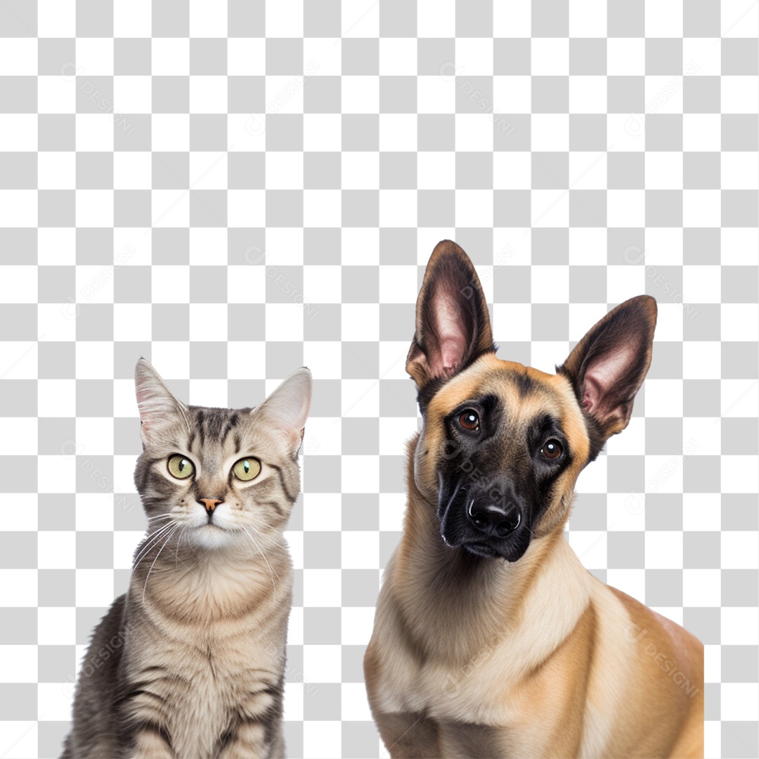 Pets Animal de Estimação Cão e Gato PNG Transparente