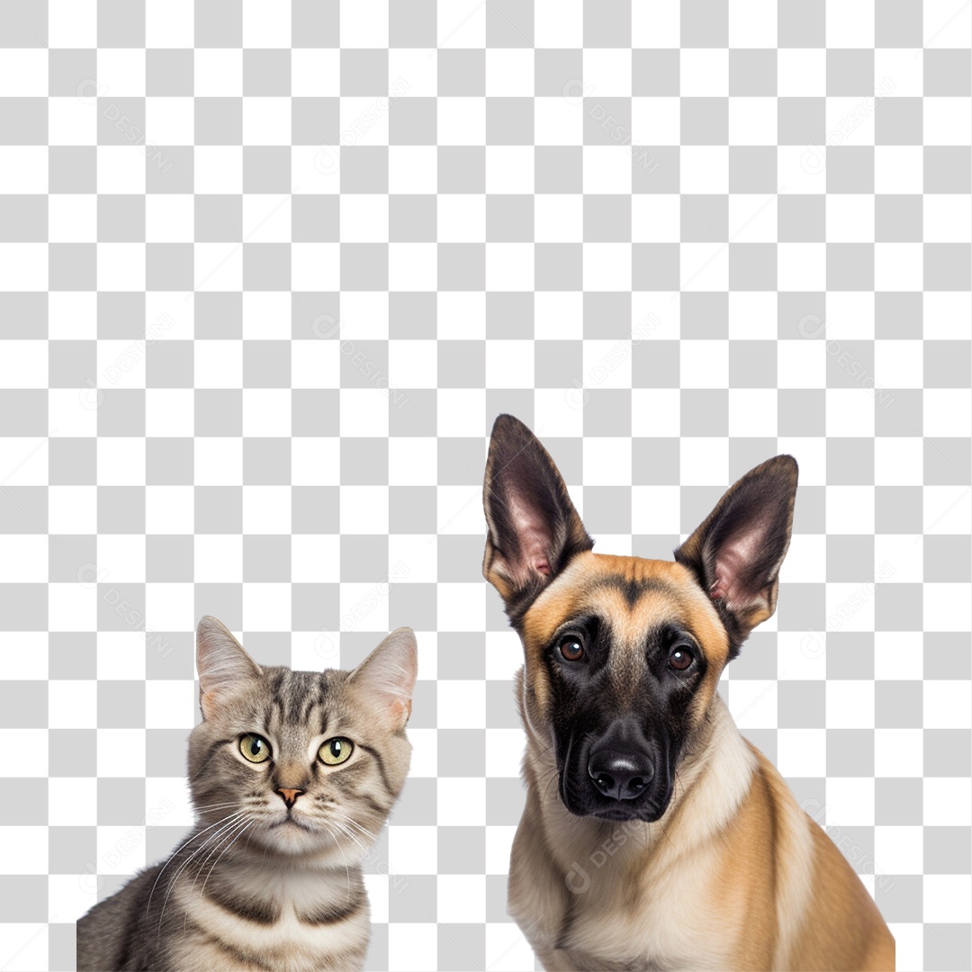 Pets Animal de Estimação Cão e Gato PNG Transparente