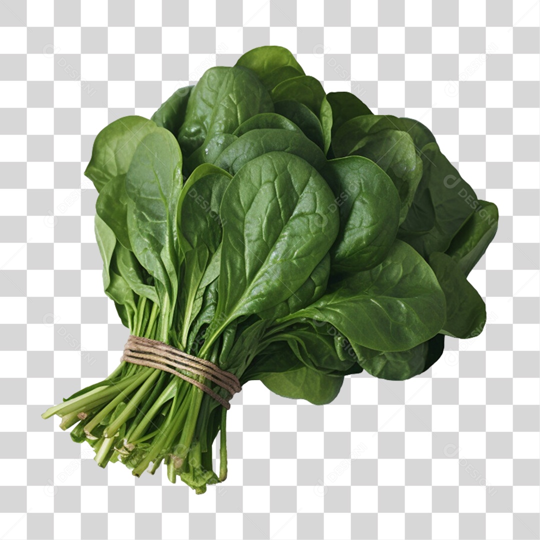 Vegetais Verduras Folha de Alface PNG Transparente