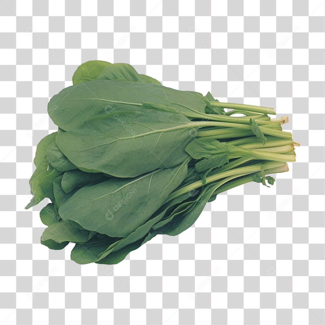 Vegetais Verduras Folah de Espinafre PNG Transparente