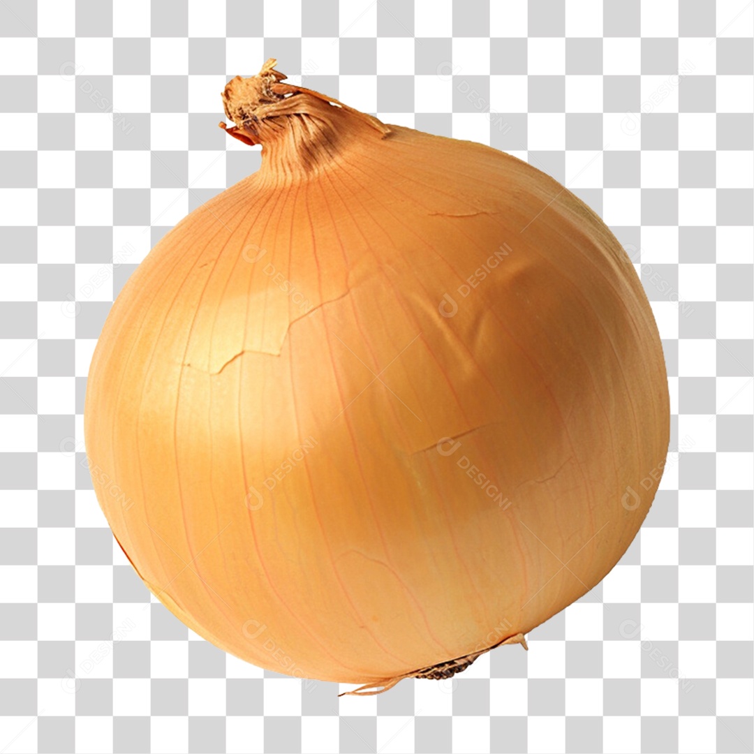 Vegetais Verduras Cebola PNG Transparente