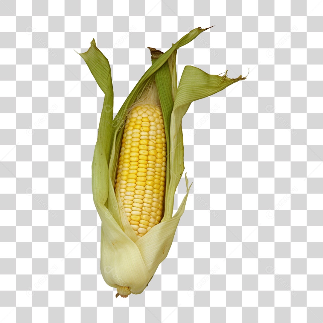 Vegetais Verduras Milho PNG Transparente