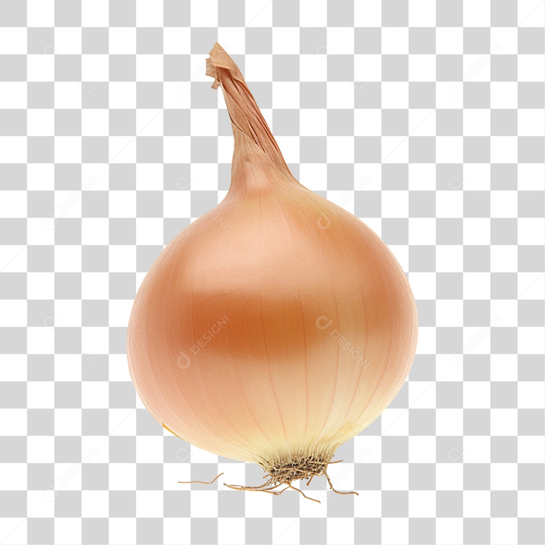 Vegetais Verduras Cebola PNG Transparente