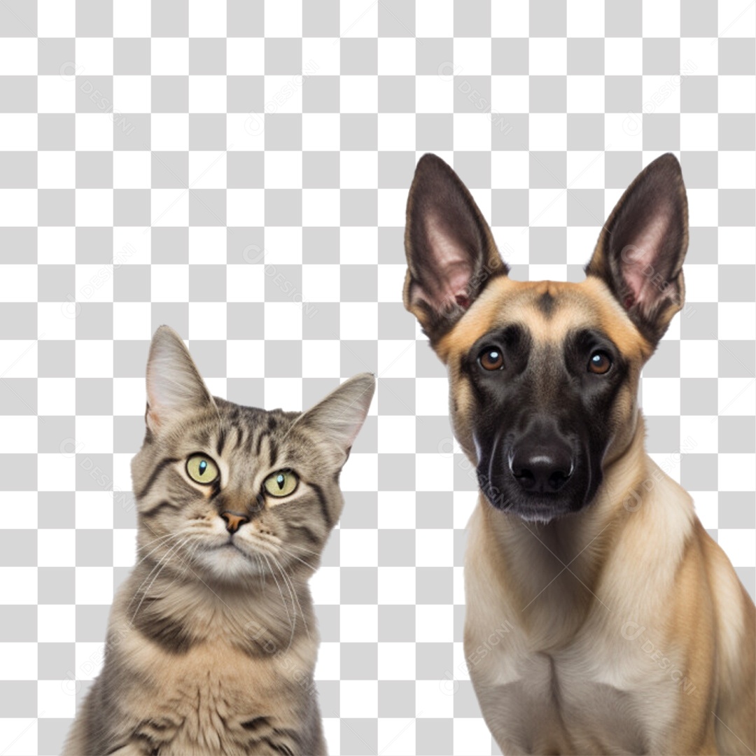 Pets Animal de Estimação Cão e Gato PNG Transparente