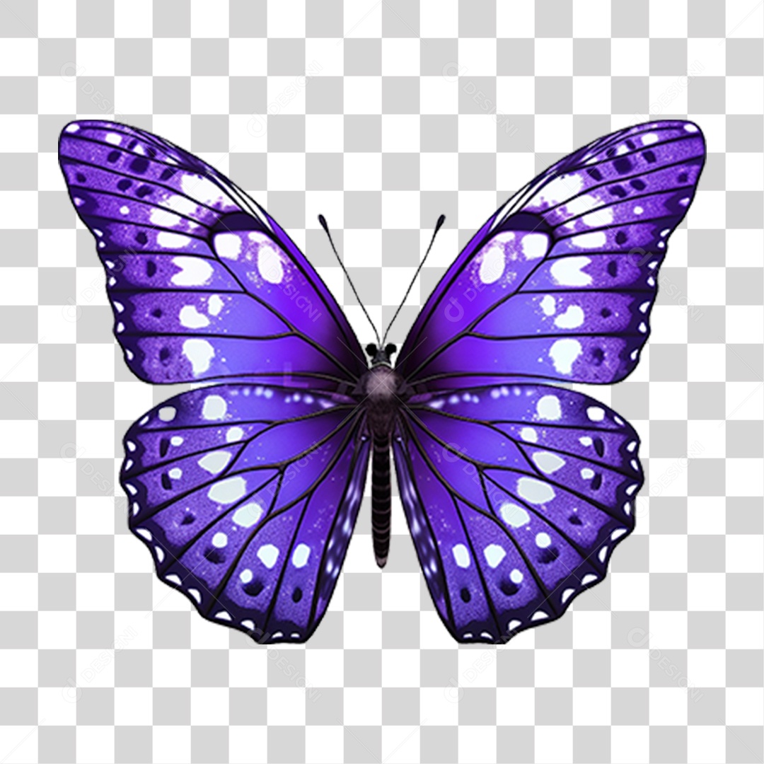 Borboletas Inseto Cores PNG Transparente