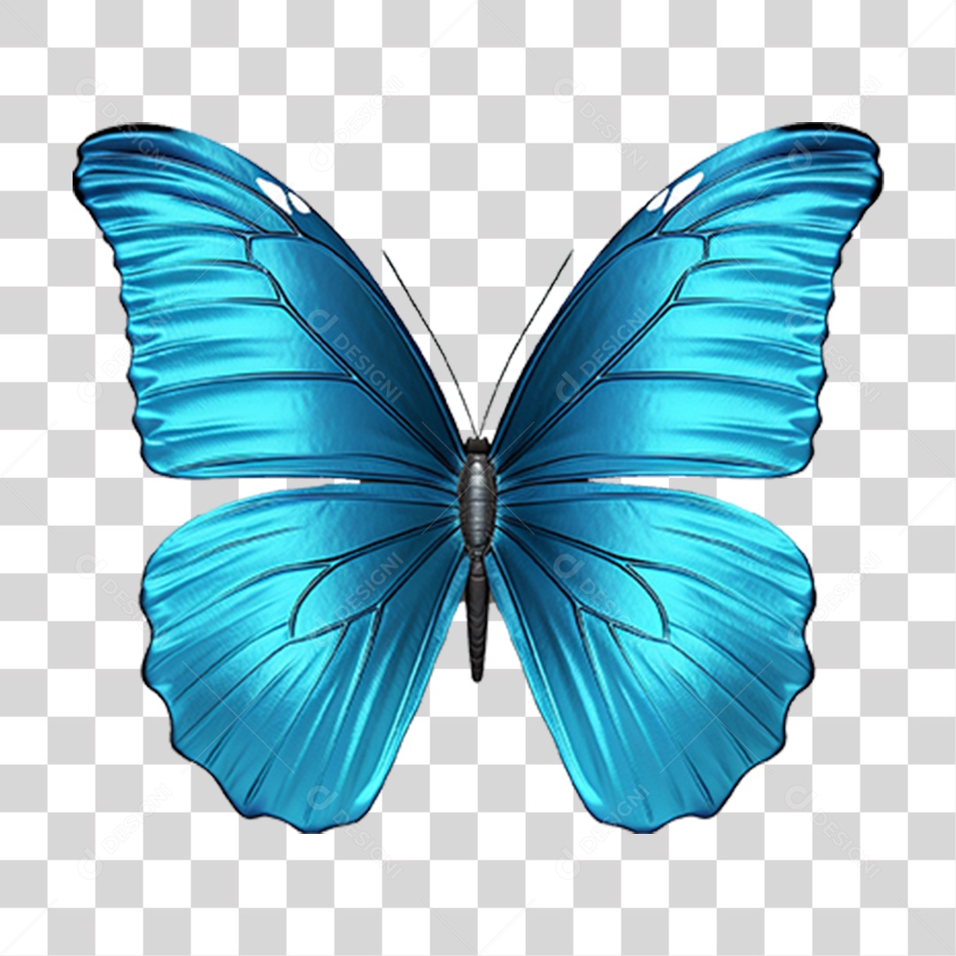 Borboletas Inseto Cores PNG Transparente