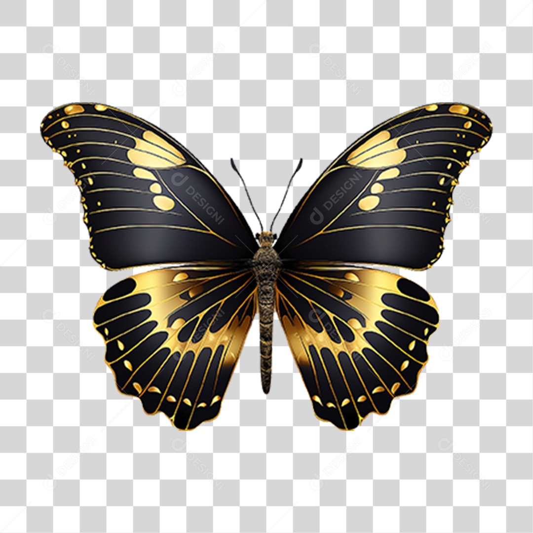 Borboletas Inseto Cores PNG Transparente