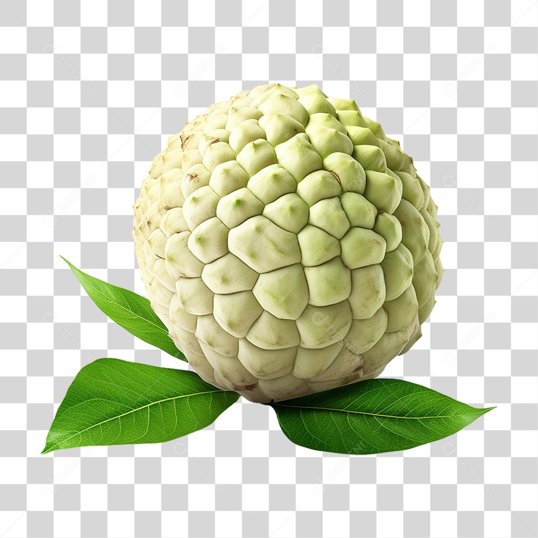 Fruta do Conde Pinha Ata PNG Transparente