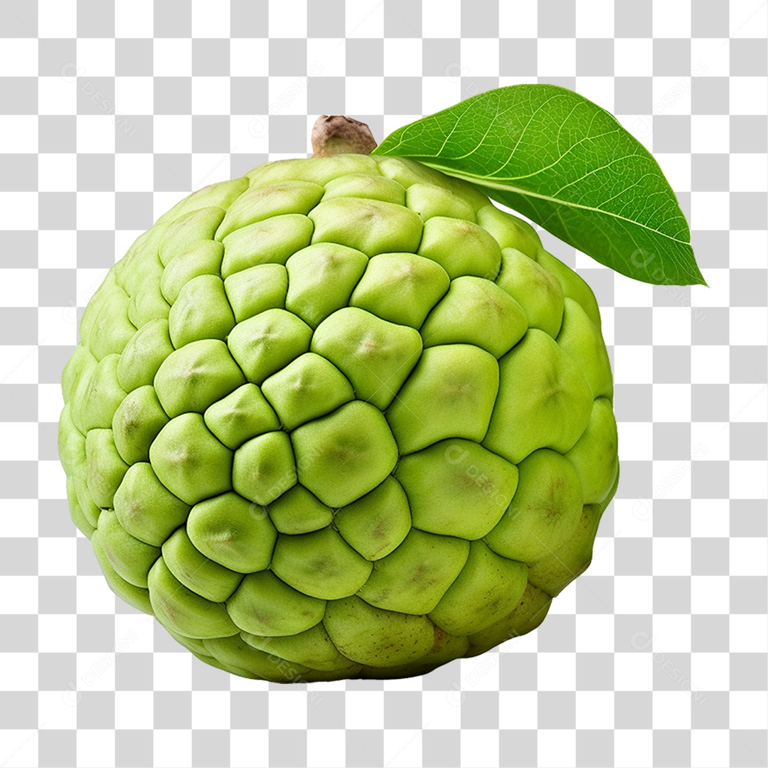 Fruta do Conde Pinha Ata PNG Transparente