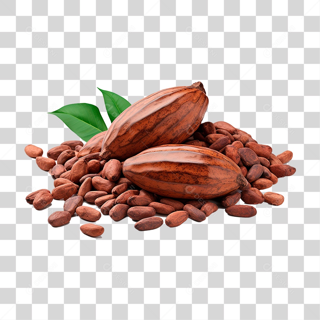 Cacau PNG Transparente