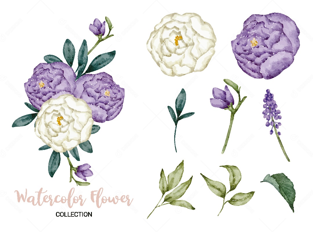 Conjunto de Flores em Aquarela Ilustração Vetor EPS