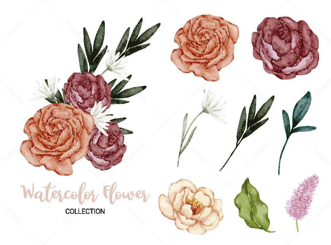 Conjunto de Flores em Aquarela Ilustração Vetor EPS