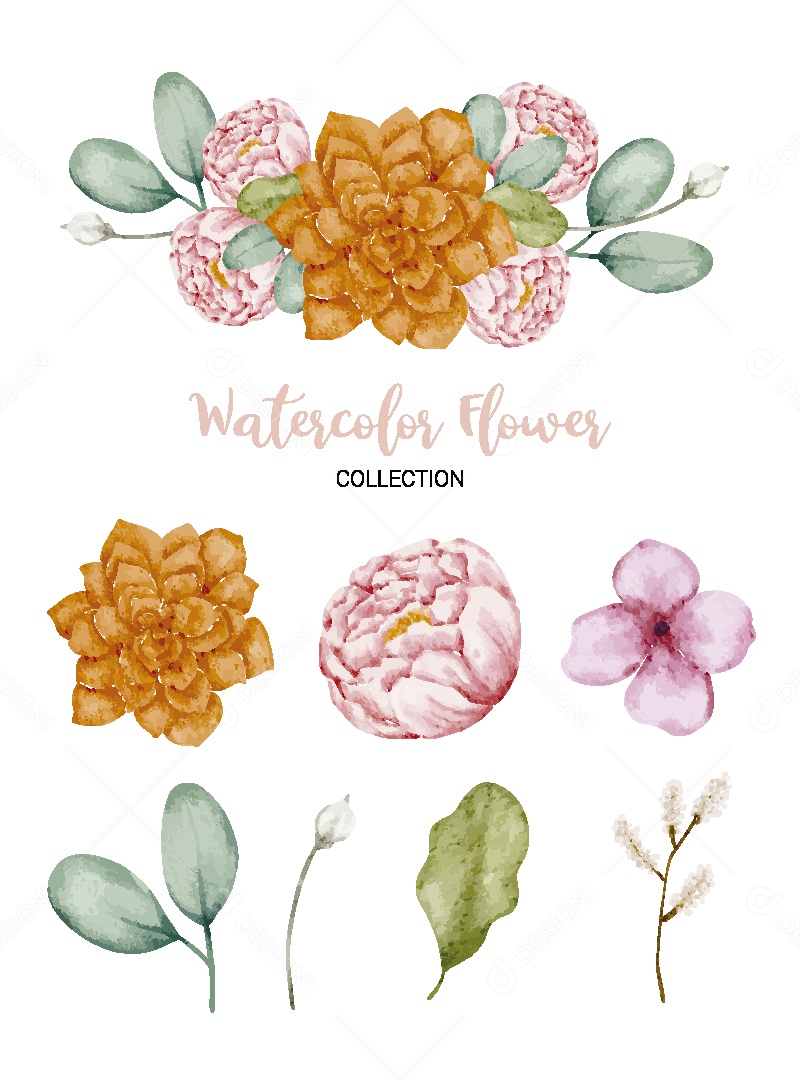 Conjunto de Flores em Aquarela Ilustração Vetor EPS