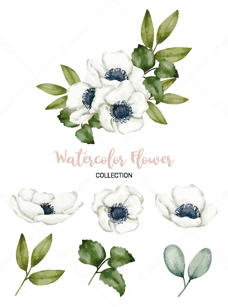 Conjunto de Flores em Aquarela Ilustração Vetor EPS