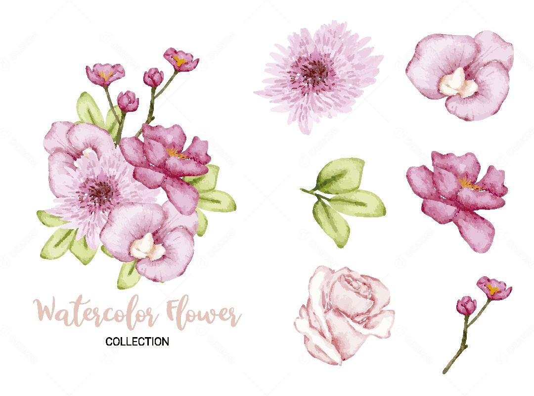 Conjunto de Flores em Aquarela Ilustração Vetor EPS