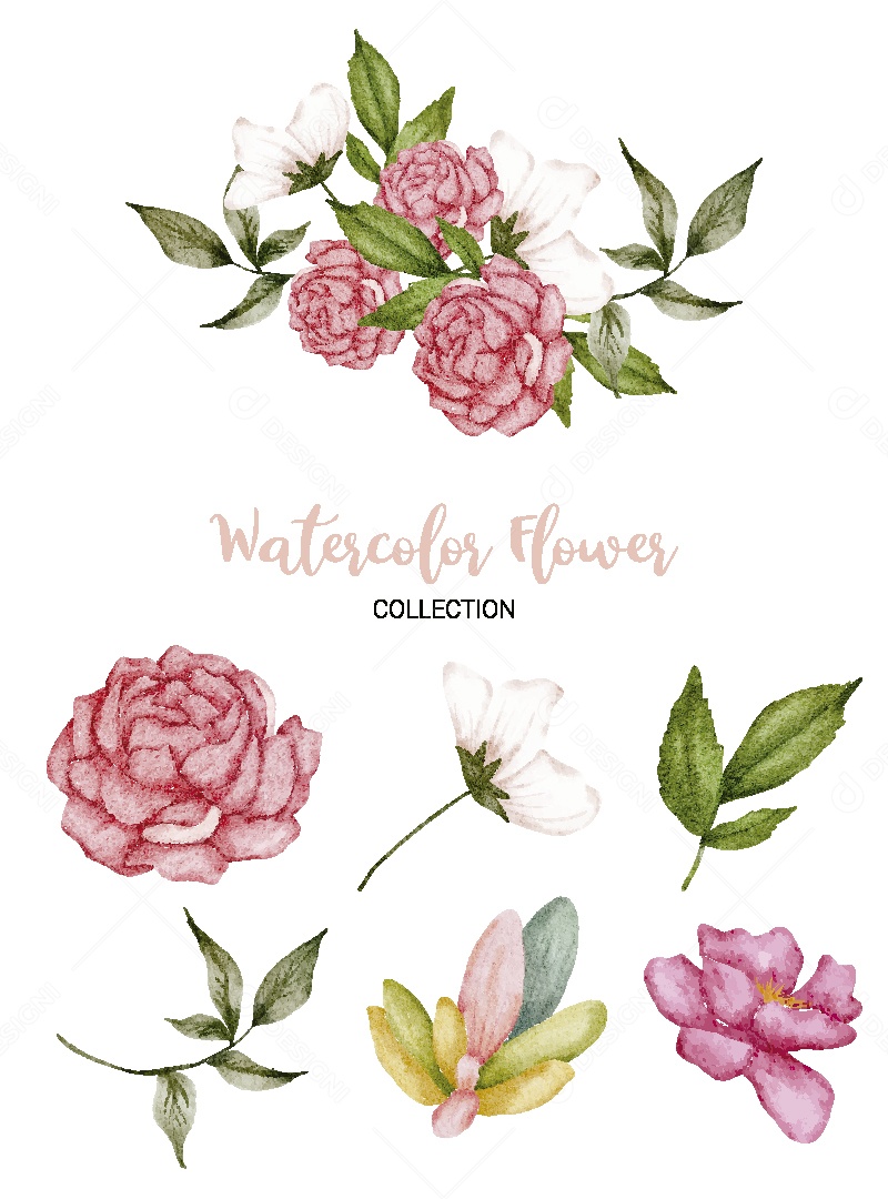 Conjunto de Flores em Aquarela Ilustração Vetor EPS