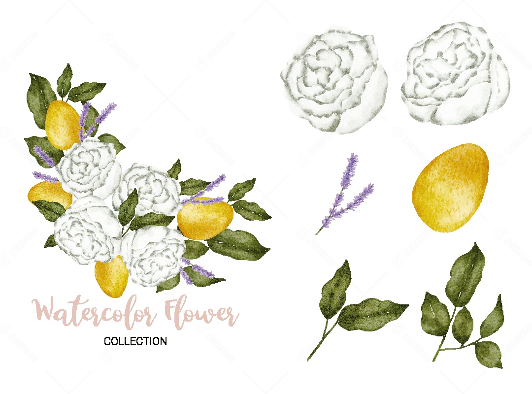 Conjunto de Flores em Aquarela Ilustração Vetor EPS