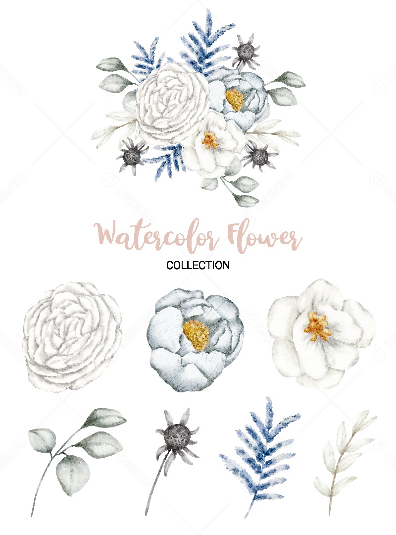 Conjunto de Flores em Aquarela Ilustração Vetor EPS