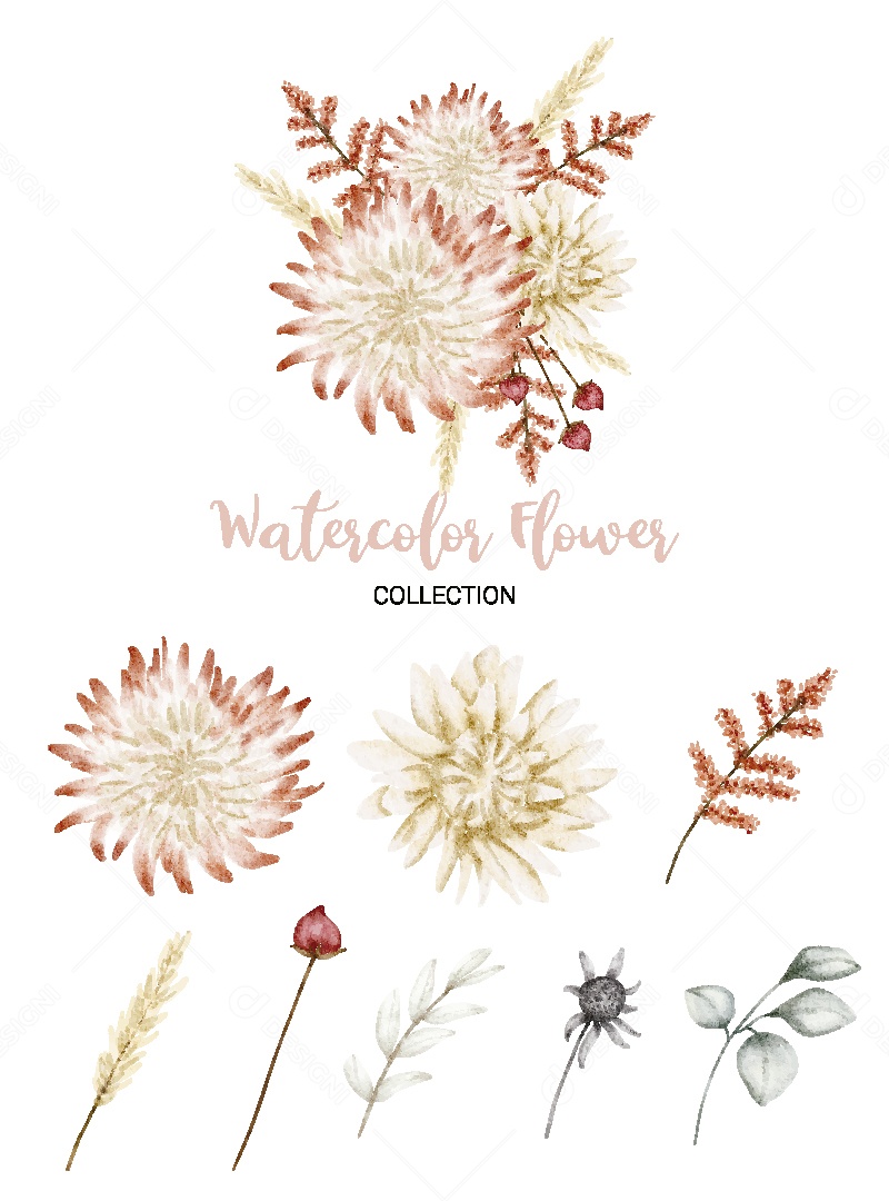 Conjunto de Flores em Aquarela Ilustração Vetor EPS