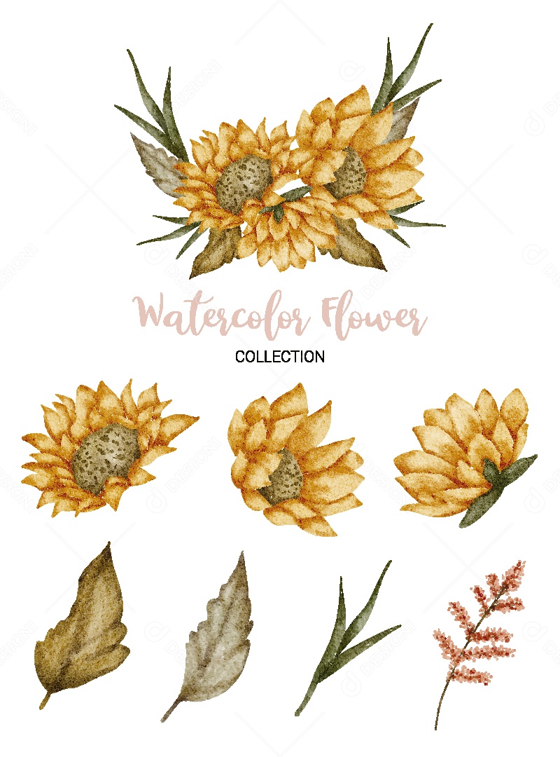 Conjunto de Flores em Aquarela Ilustração Vetor EPS