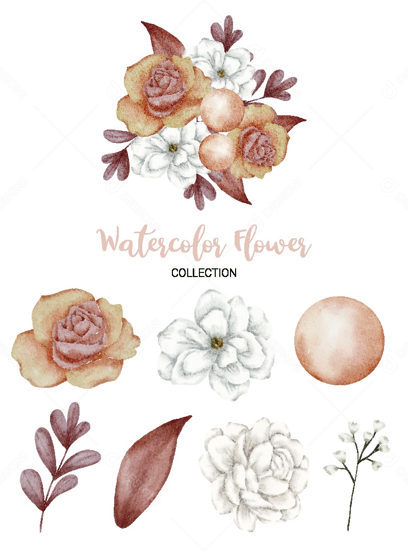 Conjunto de Flores em Aquarela Ilustração Vetor EPS