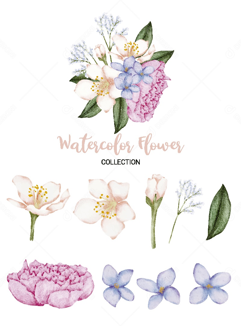 Conjunto de Flores em Aquarela Ilustração Vetor EPS