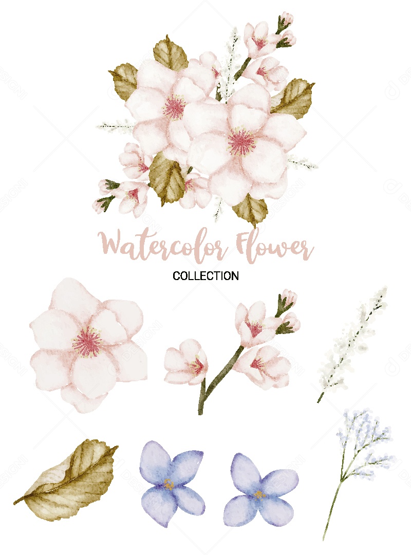 Conjunto de Flores em Aquarela Ilustração Vetor EPS