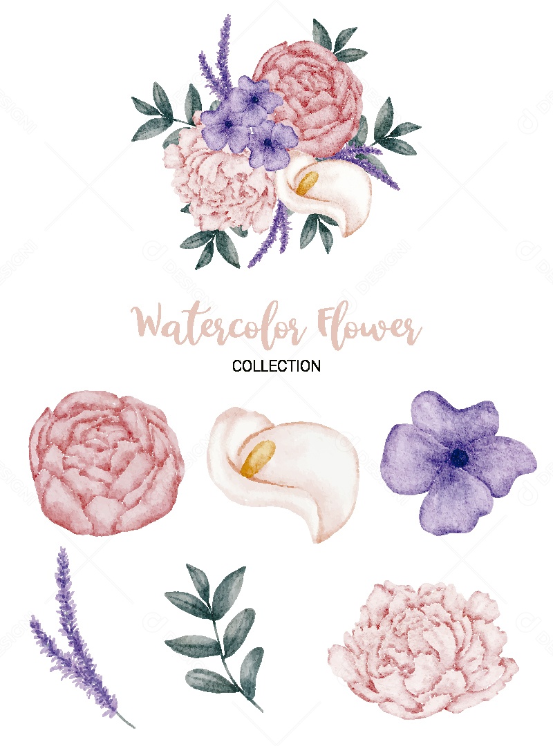 Conjunto de Flores em Aquarela Ilustração Vetor EPS