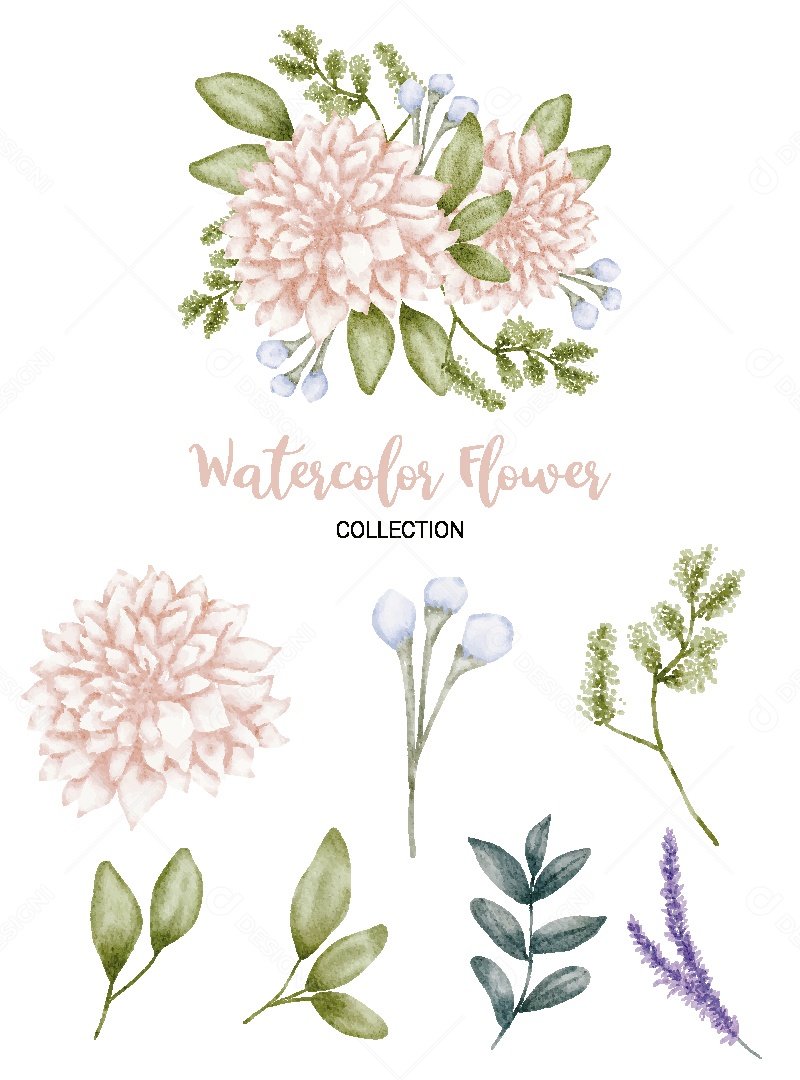 Conjunto de Flores em Aquarela Ilustração Vetor EPS