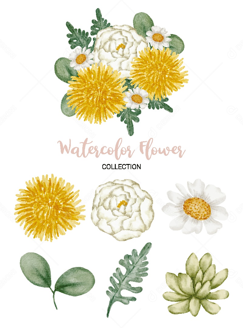 Conjunto de Flores em Aquarela Ilustração Vetor EPS