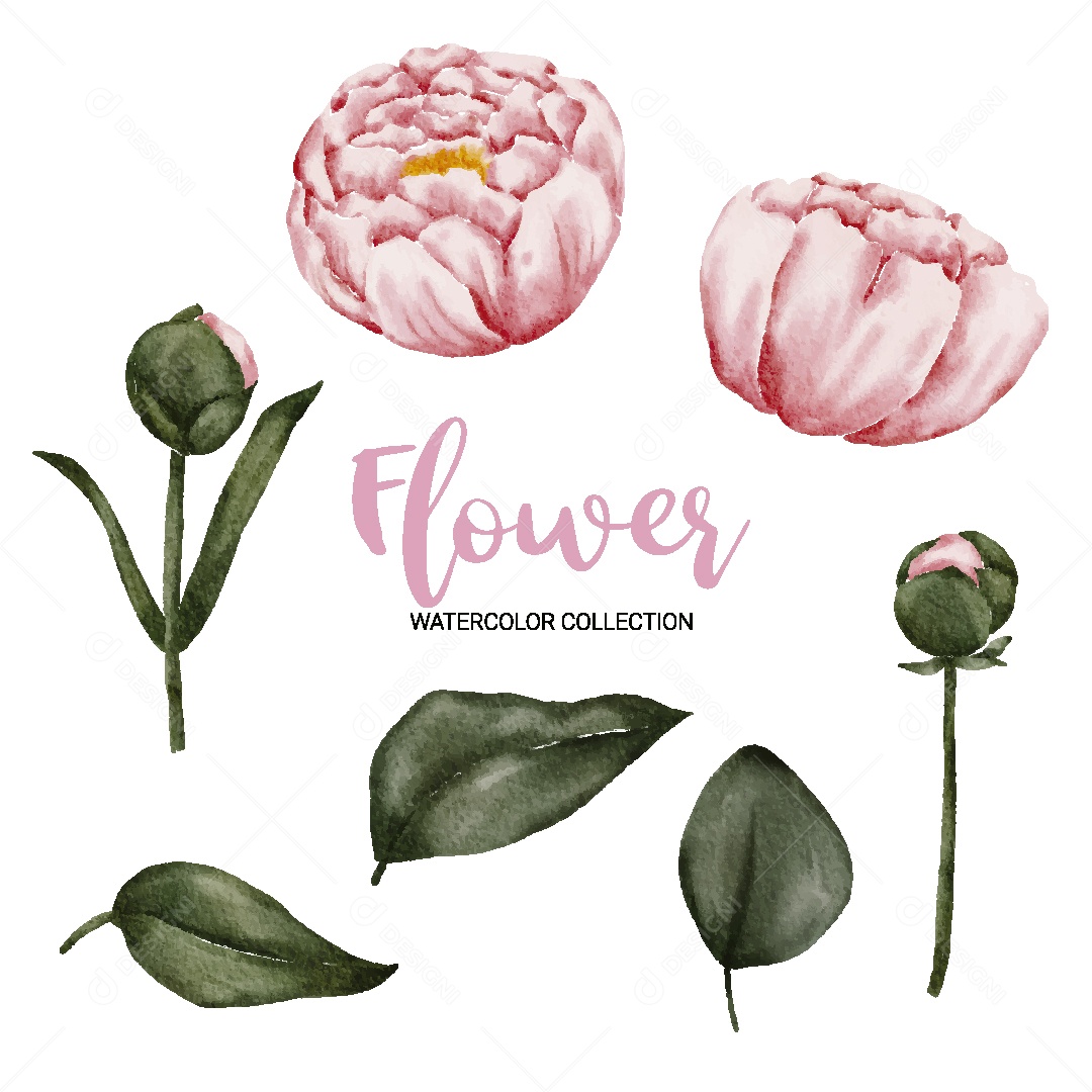 Conjunto de Flores em Aquarela Ilustração Vetor EPS