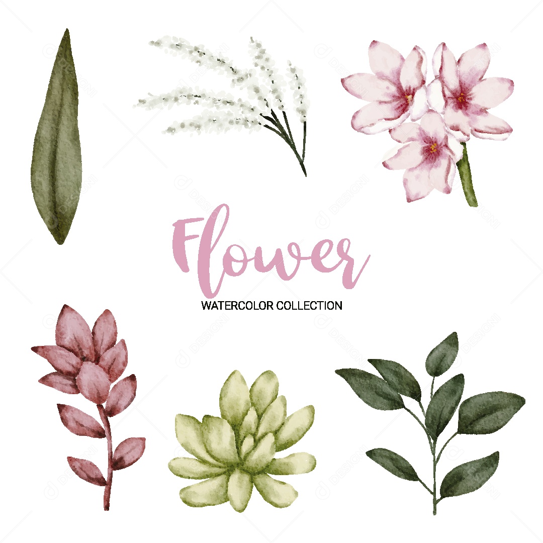 Conjunto de Flores em Aquarela Ilustração Vetor EPS