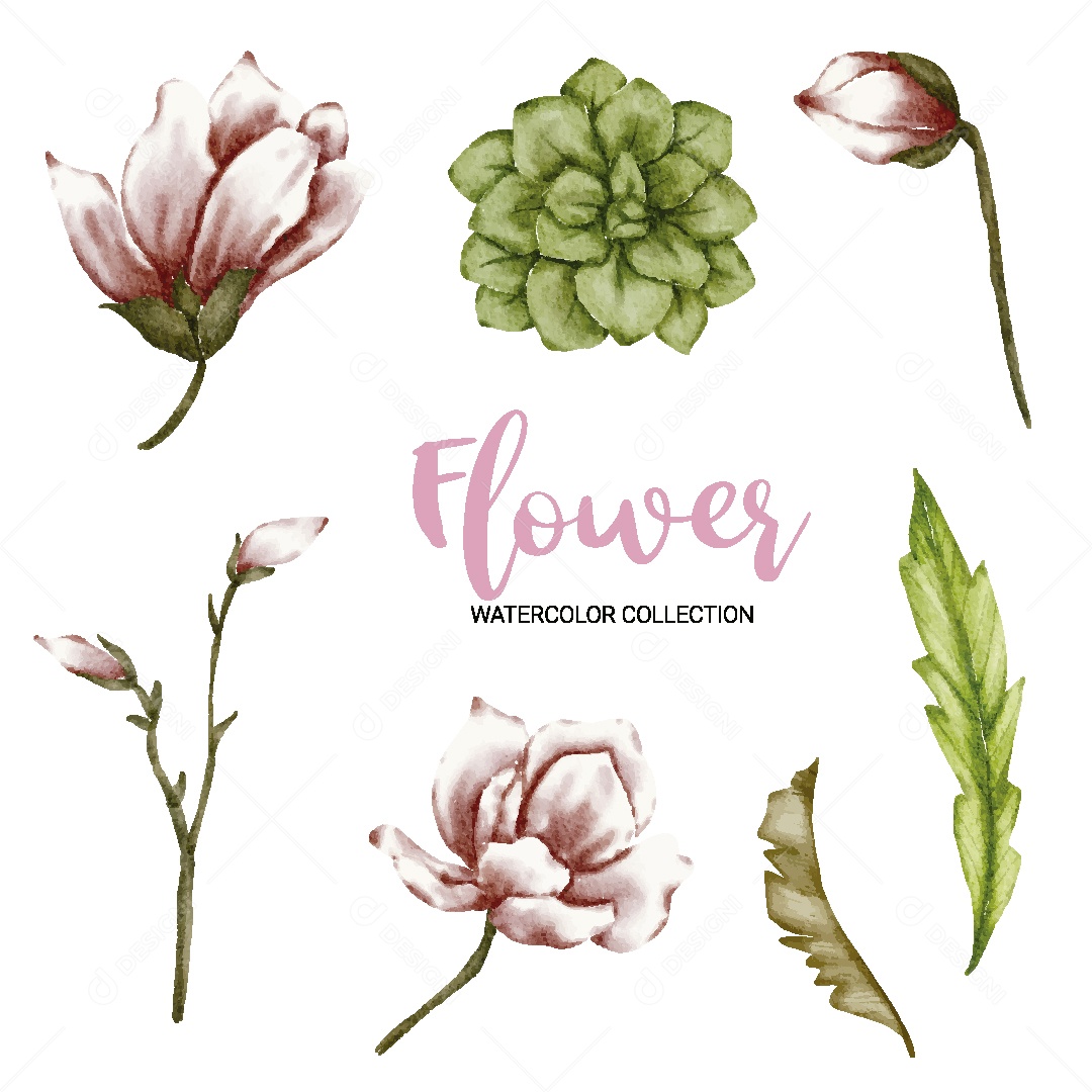 Conjunto de Flores em Aquarela Ilustração Vetor EPS