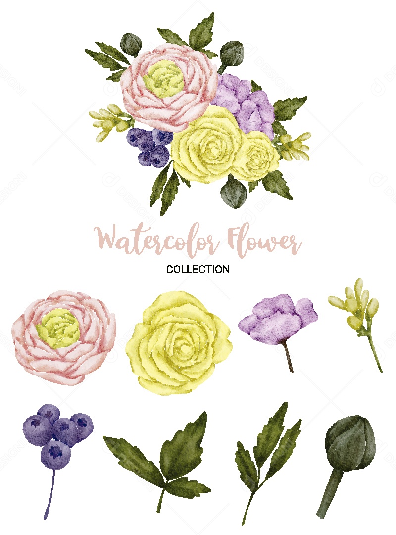 Conjunto de Flores em Aquarela Ilustração Vetor EPS