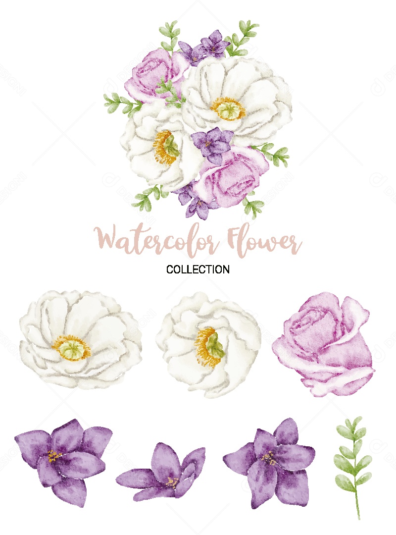 Conjunto de Flores em Aquarela Ilustração Vetor EPS