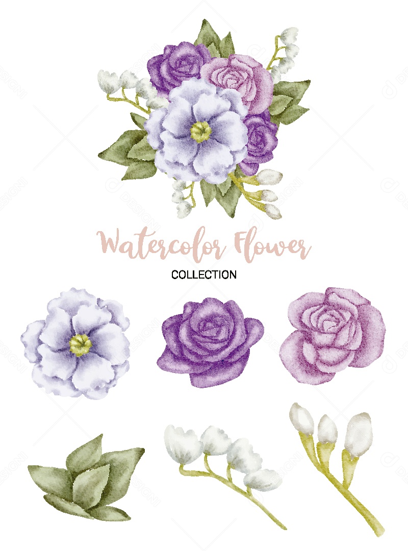 Conjunto de Flores em Aquarela Ilustração Vetor EPS