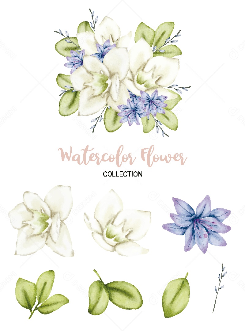 Conjunto de Flores em Aquarela Ilustração Vetor EPS