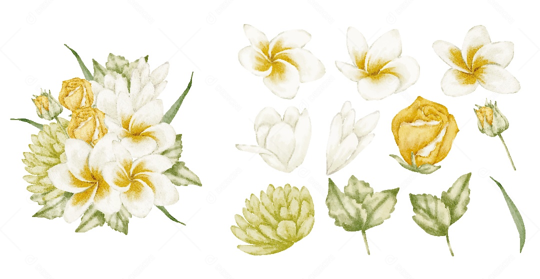 Conjunto de Flores em Aquarela Ilustração Vetor EPS