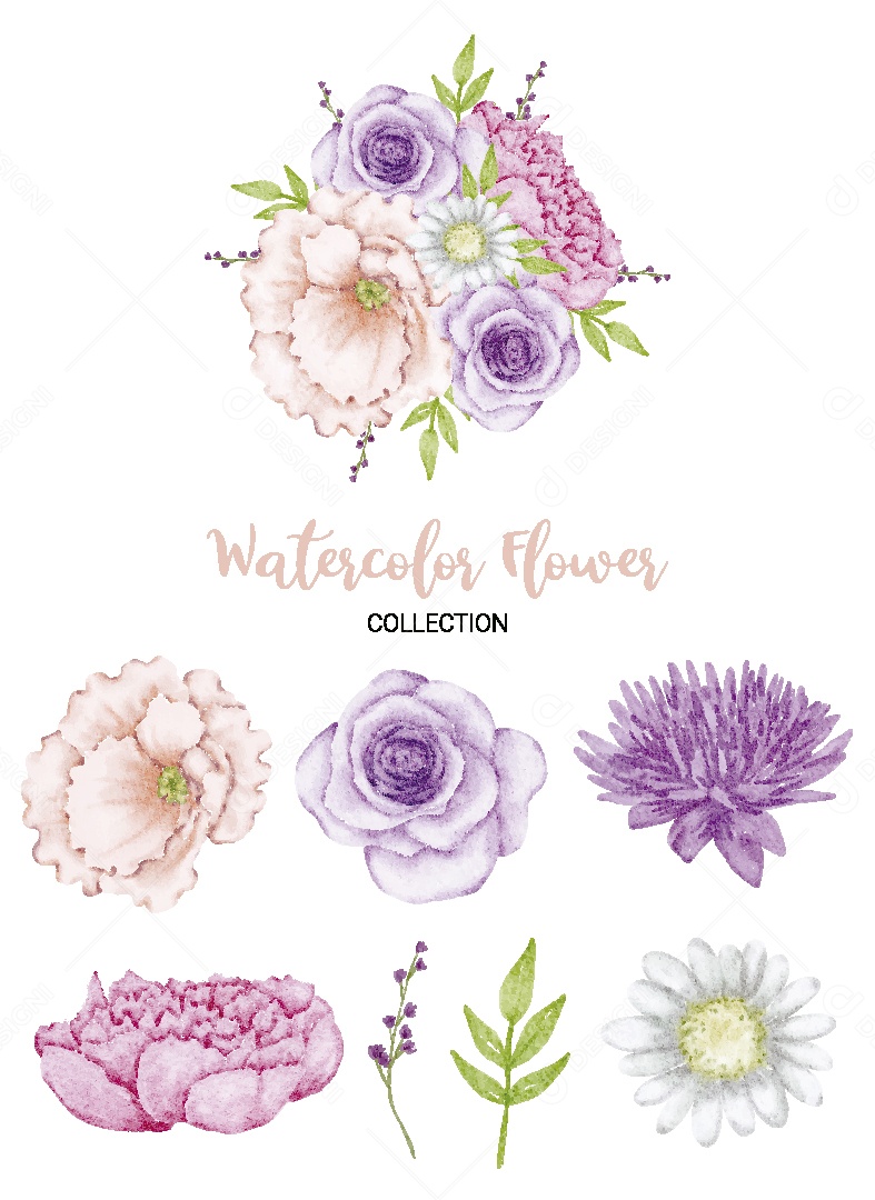 Conjunto de Flores em Aquarela Ilustração Vetor EPS