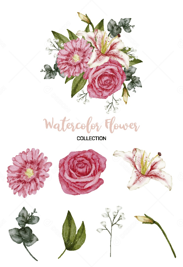 Conjunto de Flores em Aquarela Ilustração Vetor EPS