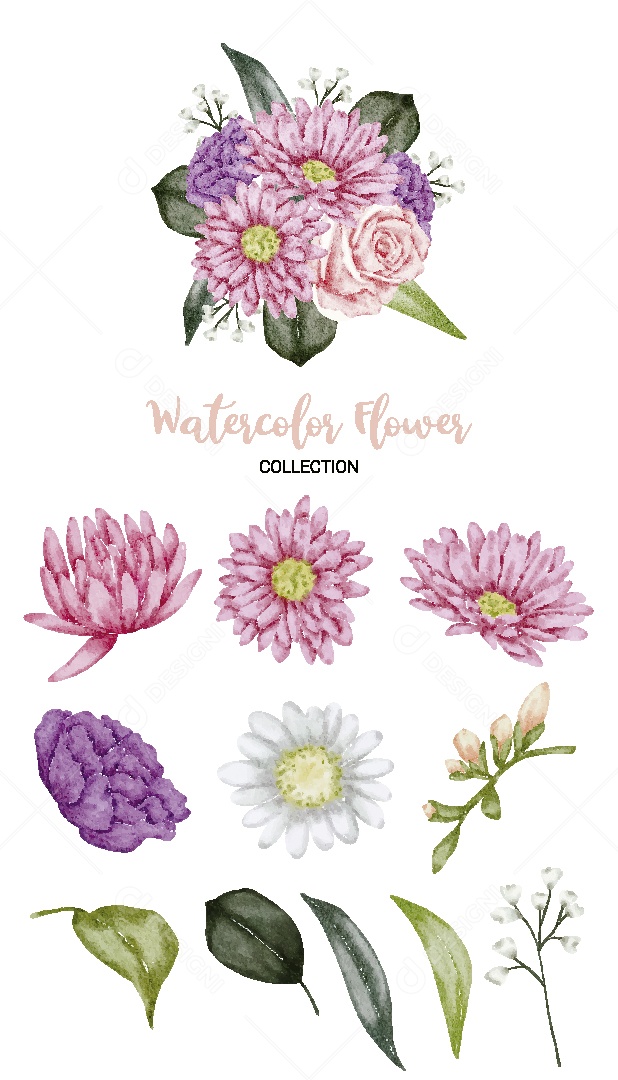 Conjunto de Flores em Aquarela Ilustração Vetor EPS