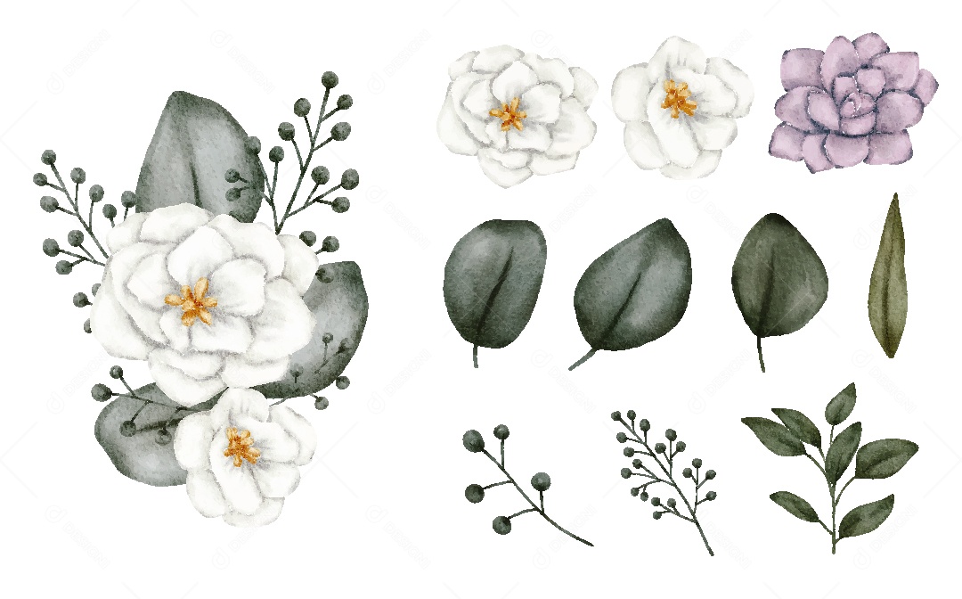 Conjunto de Flores em Aquarela Ilustração Vetor EPS